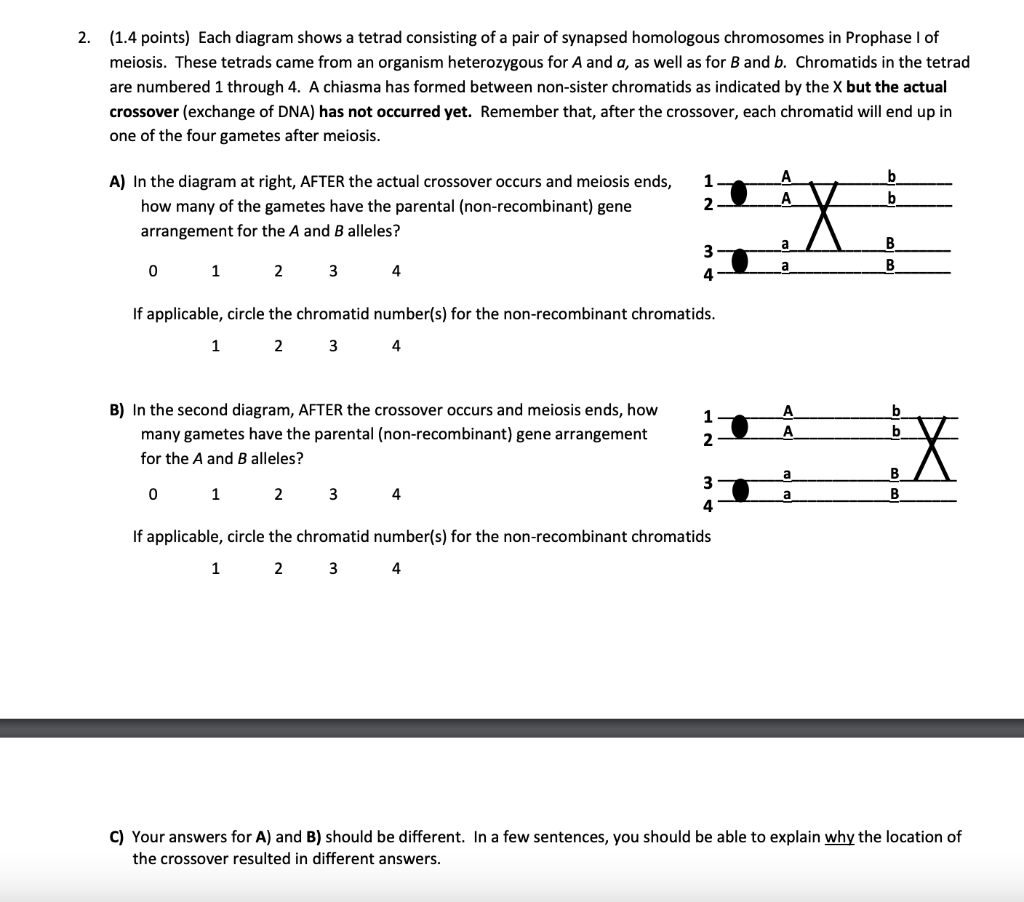 Solved (1.4 points) Each diagram shows a tetrad consisting