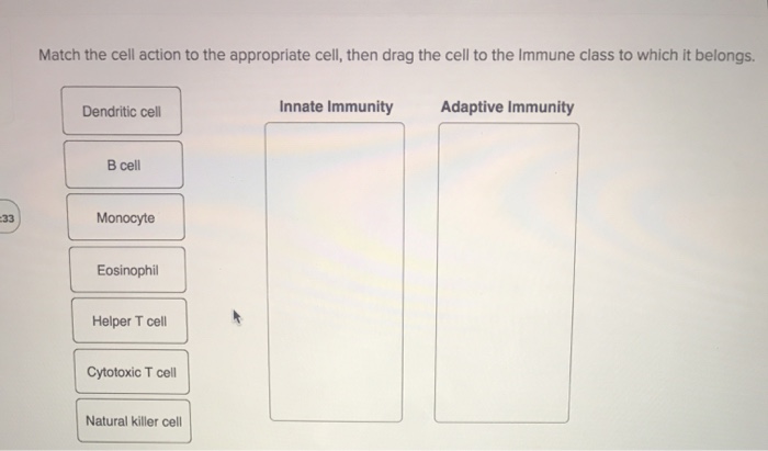 Solved Match the cell action to the appropriate cell, then | Chegg.com
