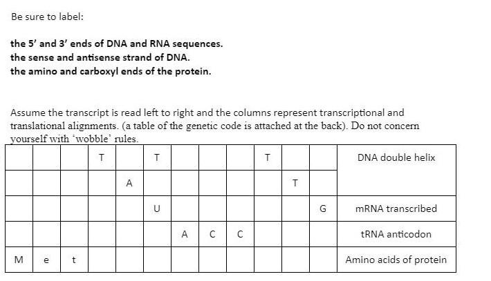 Solved Be sure to label: the 5′ and 3′ ends of DNA and RNA | Chegg.com
