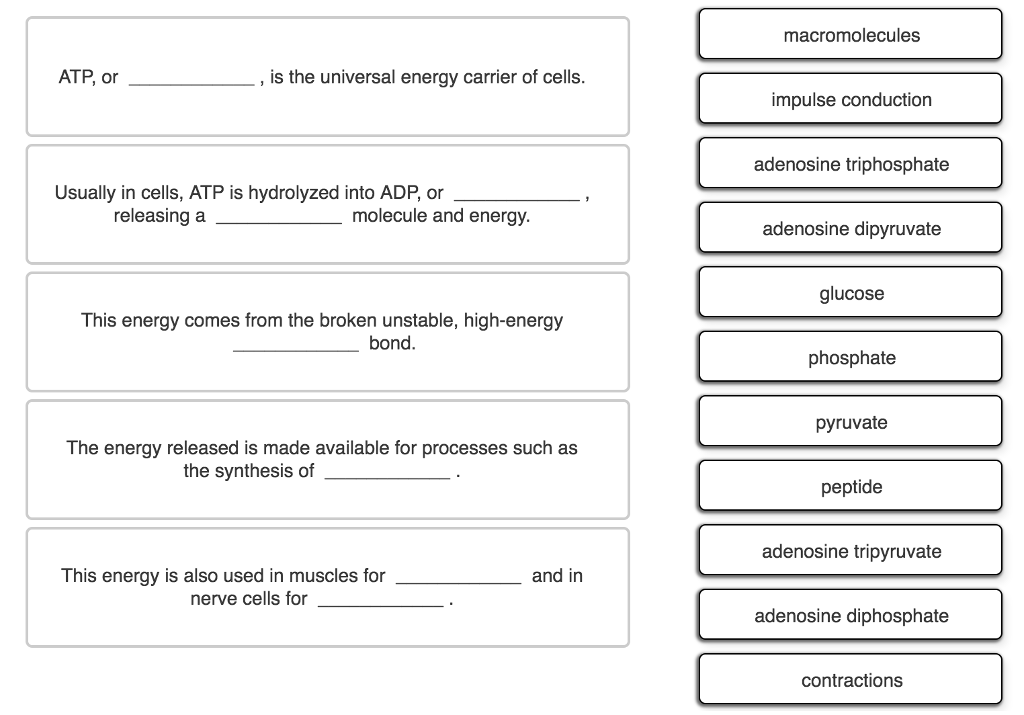 Solved macromolecules ATP, or , is the universal energy