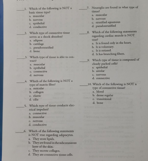 Solved 1. Which of the following is NOT a basic tissue type? | Chegg.com