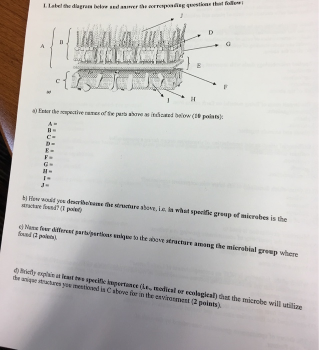 Solved Label the diagram below and answer the corresponding | Chegg.com