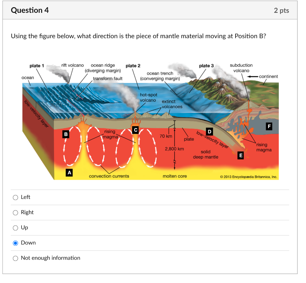 Solved Question 4 2 pts Using the figure below, what | Chegg.com