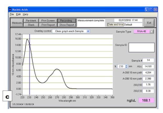 ?
Nucleic Acids
Ele Edit Help
Recording
Mensure
Show Report
Clear graph each Sample
17.44-
16.00-
1400-
12.00-
10.00-
8.00-
6