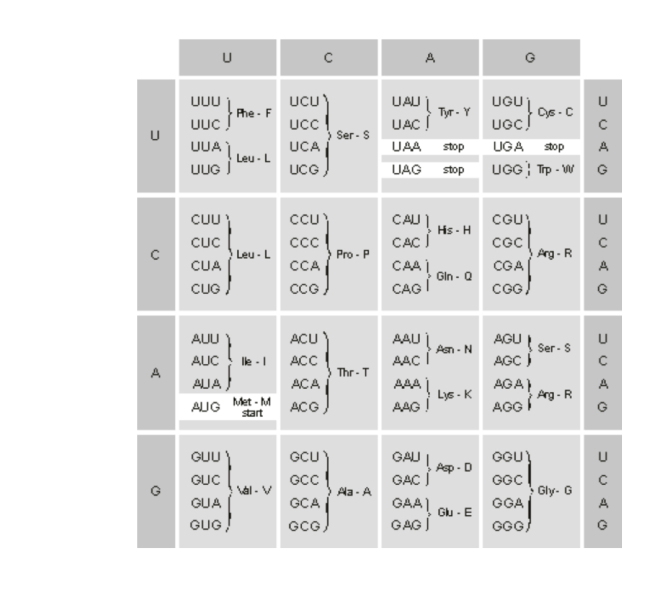 Solved 5. Listed below is the dsDNA sequence for an E. coli | Chegg.com
