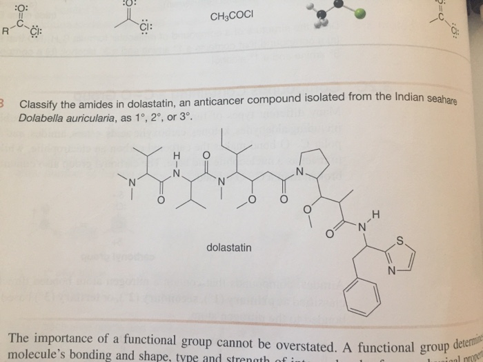 Solved Classify the amides in dolastatin, an anticancer | Chegg.com