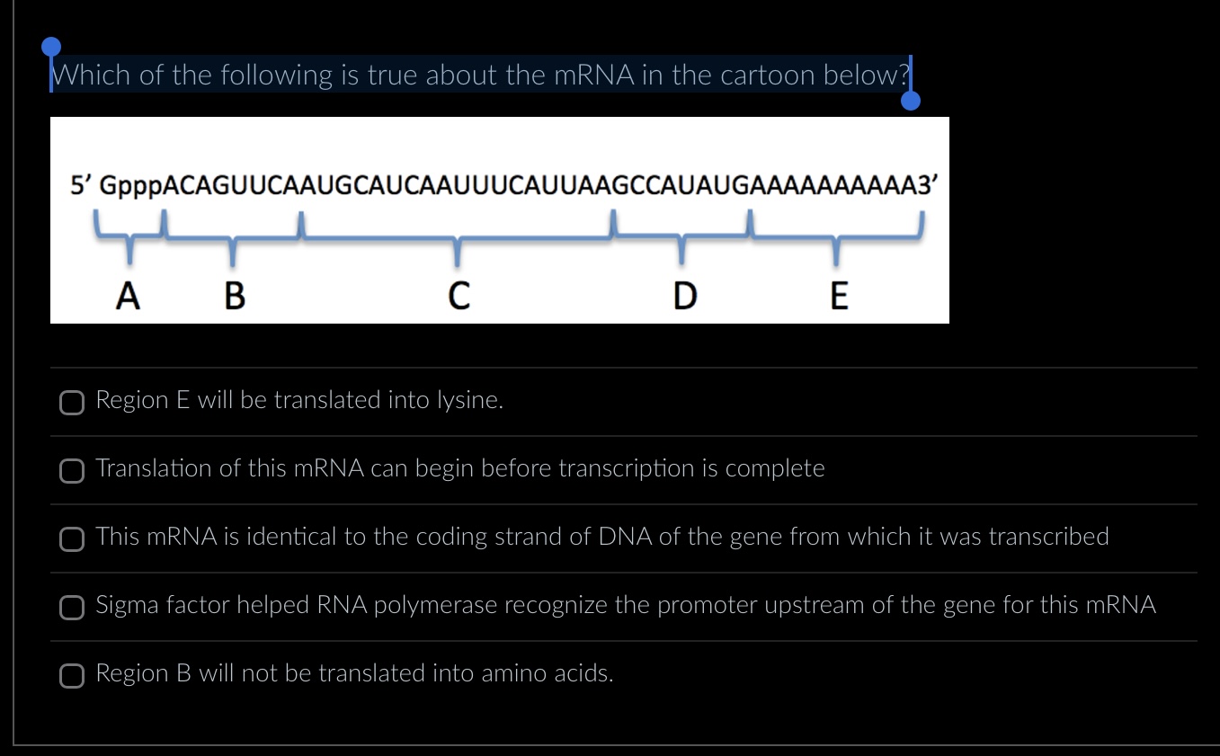 Solved Which of the following is true about the mRNA in the | Chegg.com