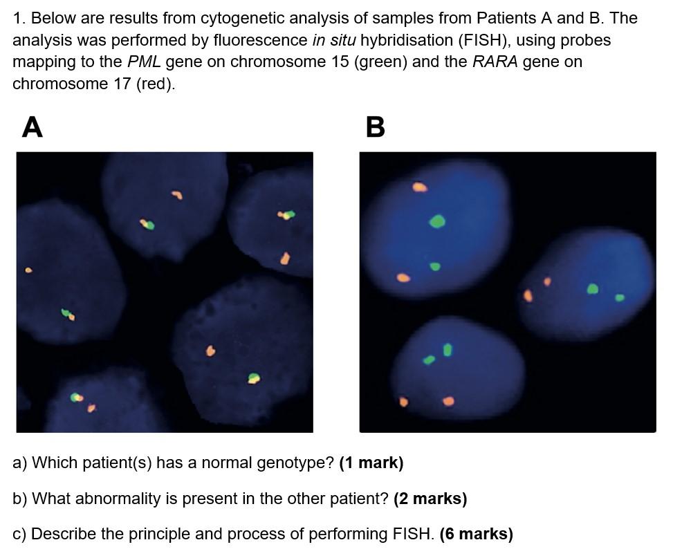 Solved 1. Below are results from cytogenetic analysis of | Chegg.com