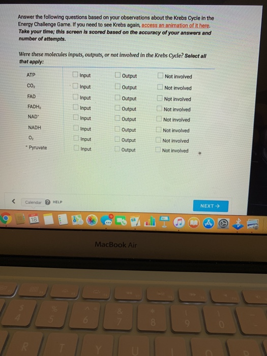 Solved Answer the following questions based on your | Chegg.com