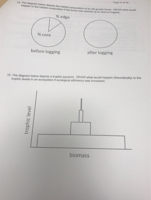 Solved Page 11 ot 16 14. The diagram below depicts the | Chegg.com