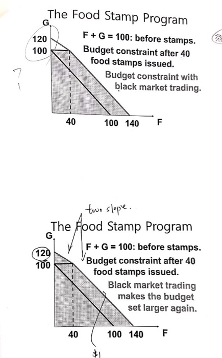 Solved The Food Stamp Program F G 100 before stamps. 100 Chegg