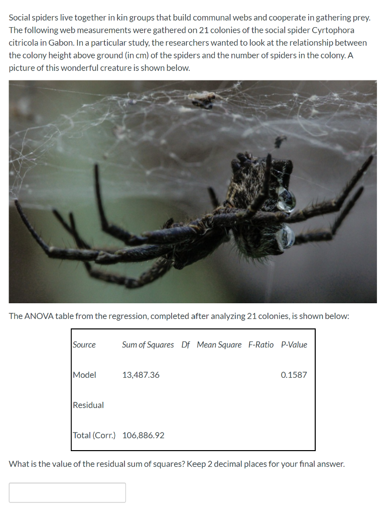 Huddle Together: Social Spiders and Their Myriad Guests