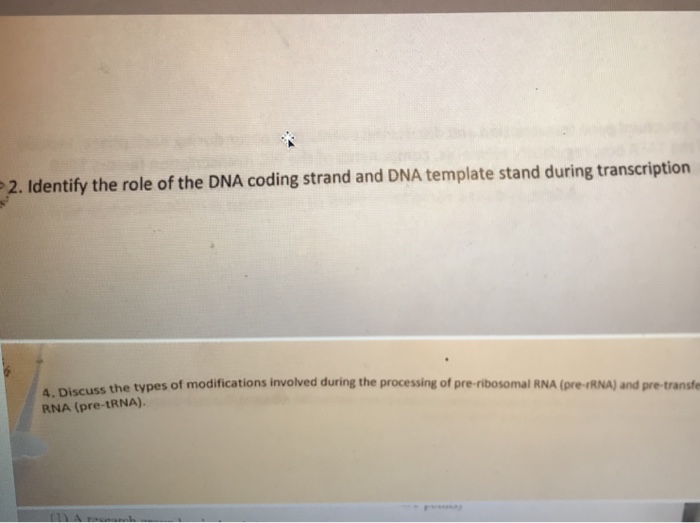 Solved 2. Identify the role of the DNA coding strand and DNA | Chegg.com
