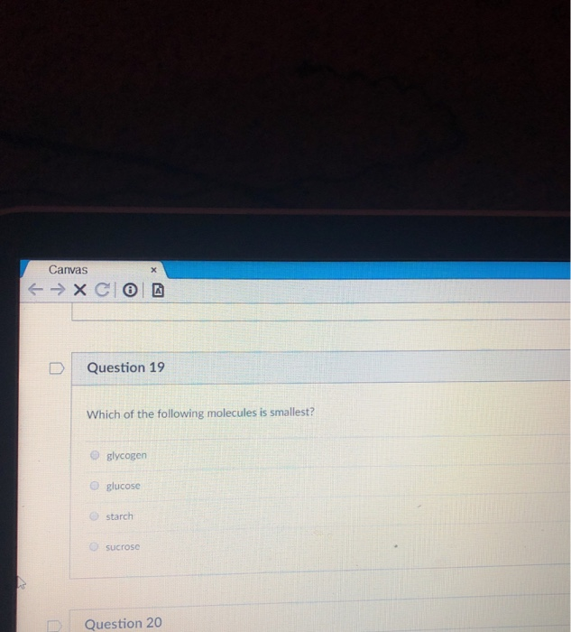 Solved Canvas Question 19 Which of the following molecules | Chegg.com