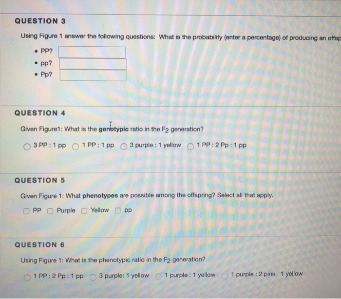 Solved QUESTION Table 1 Genotypes and Phenotypes for Purple