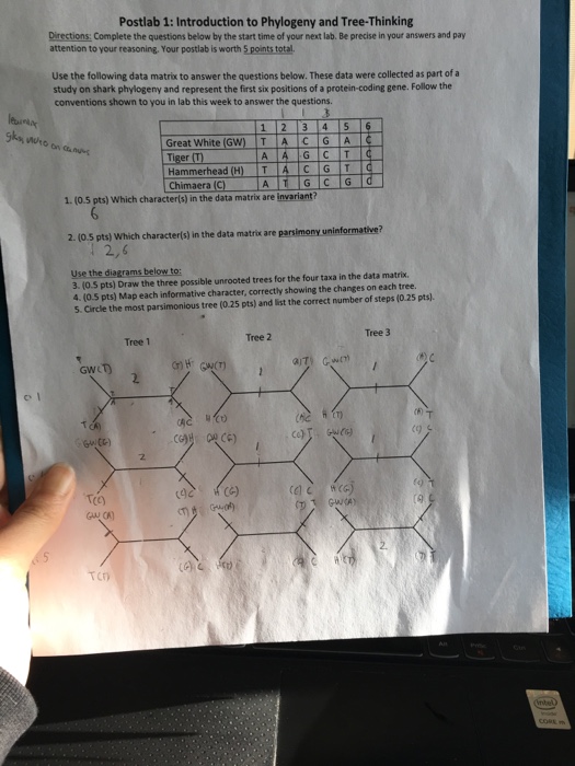 Postlab 1: Introduction to Phylogeny and | Chegg.com