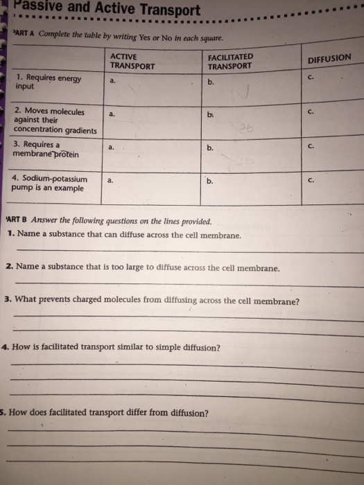 Solved Passive and Active Transport ·ー Chegg com