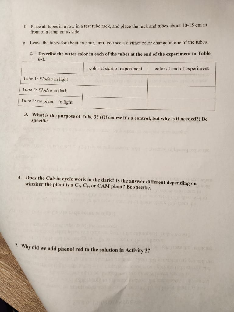 Solved LAB 6. PHOTOSYNTHESIS Photosynthesis is performed by