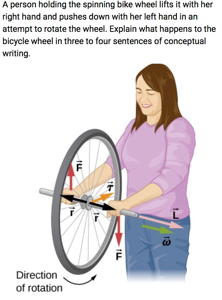 Solved A person holding the spinning bike wheel lifts it | Chegg.com
