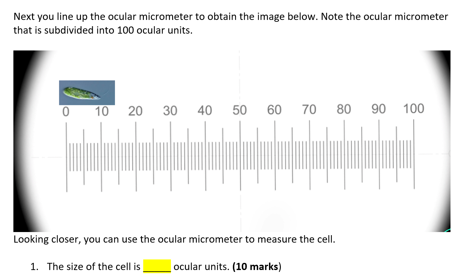 Solved Next you line up the ocular micrometer to obtain the