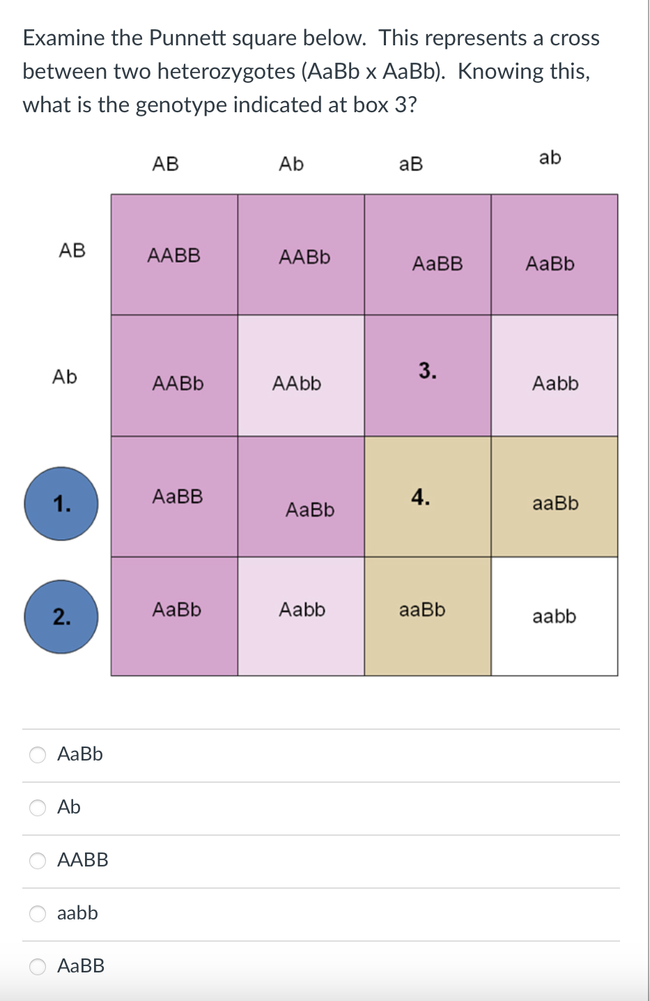 Solved Examine the Punnett square below. This represents a | Chegg.com