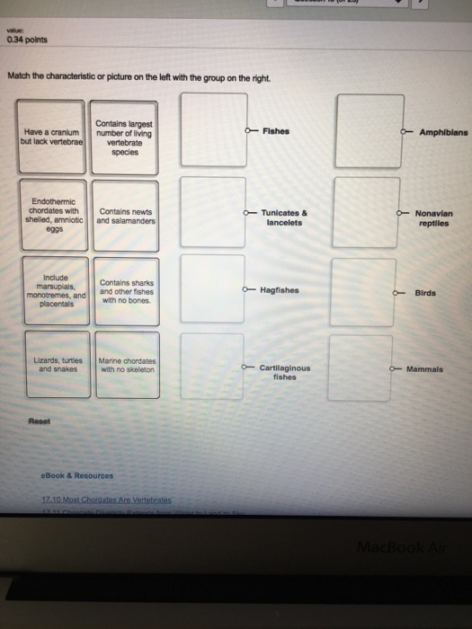 Solved Match the characteristic or picture on the left with | Chegg.com