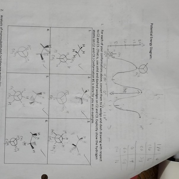 Solved -Lab Activities: 1. Conformational Analysis Of | Chegg.com