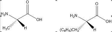 Solved The structures of two amino acids, alanine (on the | Chegg.com