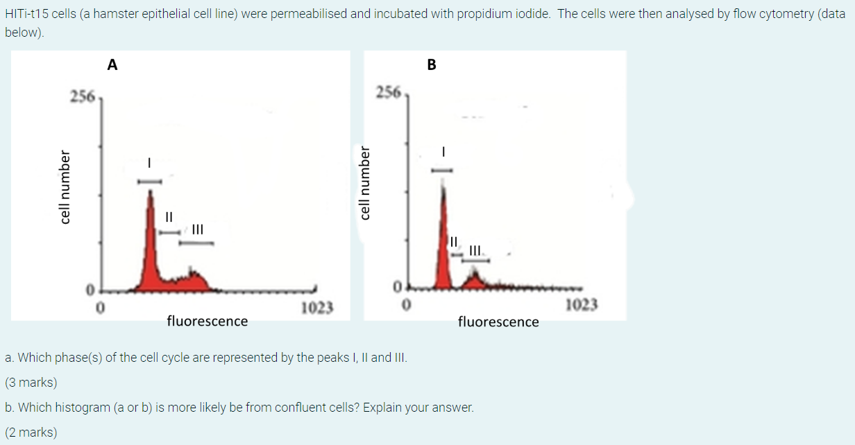 HITi-t15 cells (a hamster epithelial cell line) were permeabilised and incubated with propidium iodide. The cells were then a