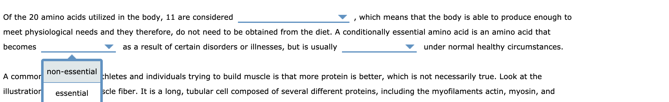 Solved The proteins in the body are made of combinations of | Chegg.com