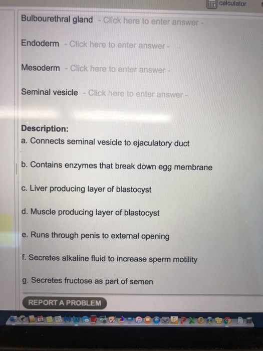 Solved Calculator Bulbourethral Gland -Click Here To Enter | Chegg.com