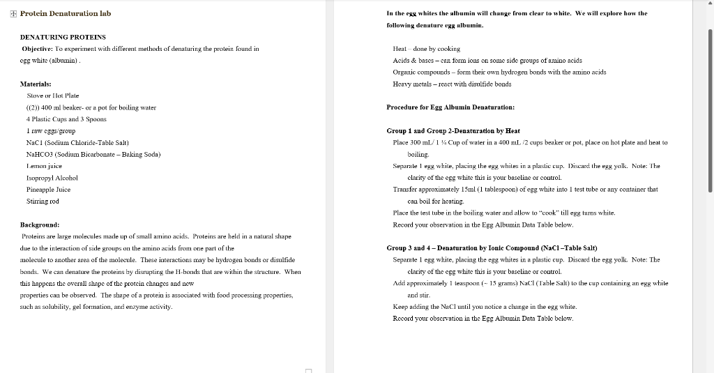 Solved Protein Denaturation lab DENATURING PROTEINS