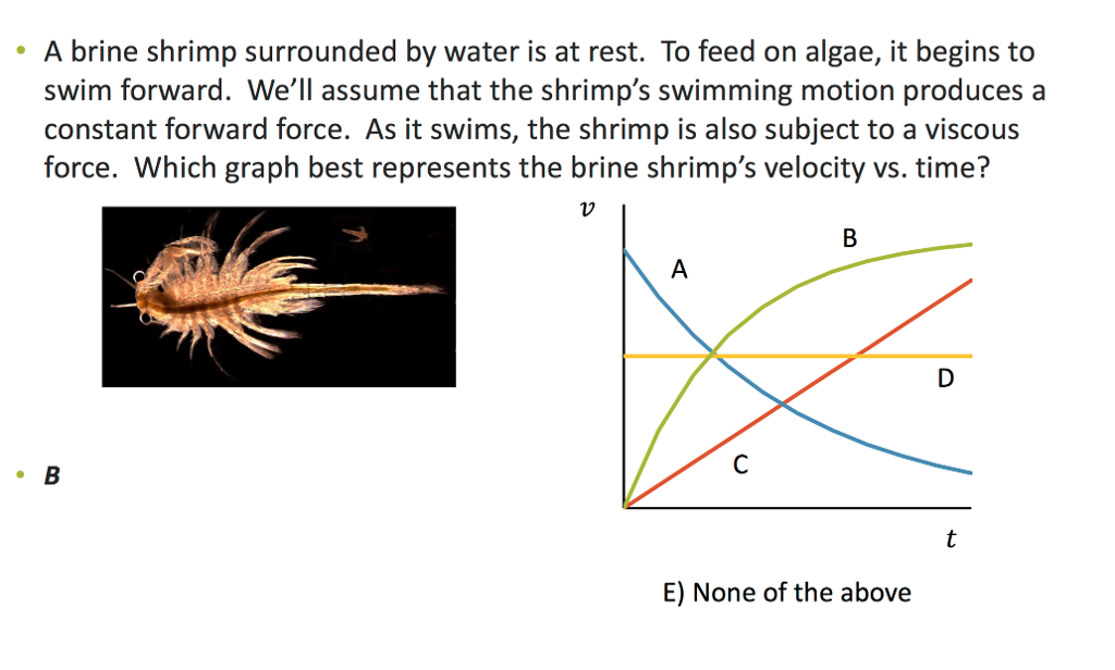 Solved A brine shrimp surrounded by water is at rest. To | Chegg.com