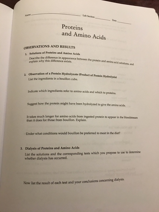 Solved Lab Section Date Proteins and Amino Acids