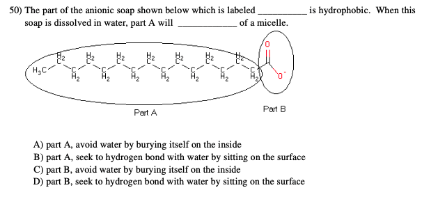 Solved 50) The part of the anionic soap shown below which is | Chegg.com