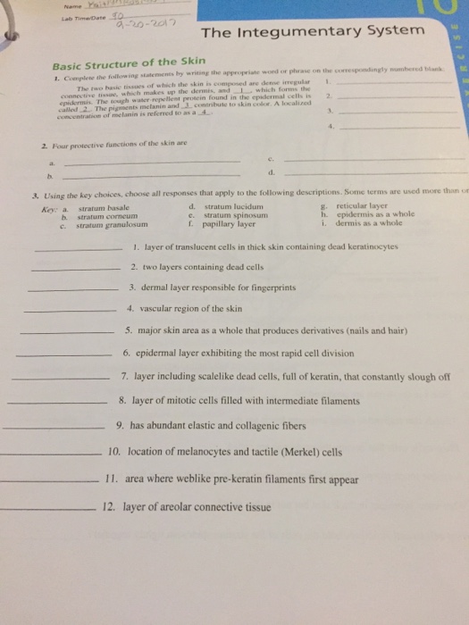 Anatomy And Physiology Archive September 21, 2017