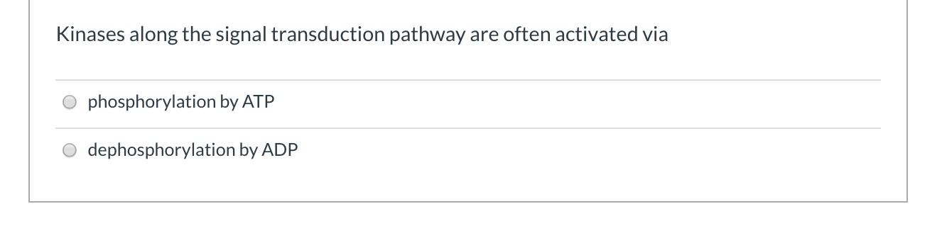 Solved Which Of The Following Is True About Transcription | Chegg.com Solved Which Of The Following Is True About Transcription | Chegg.com