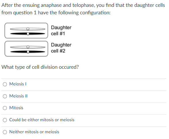 Solved Below is a pair of homologous chromosomes in a cell | Chegg.com
