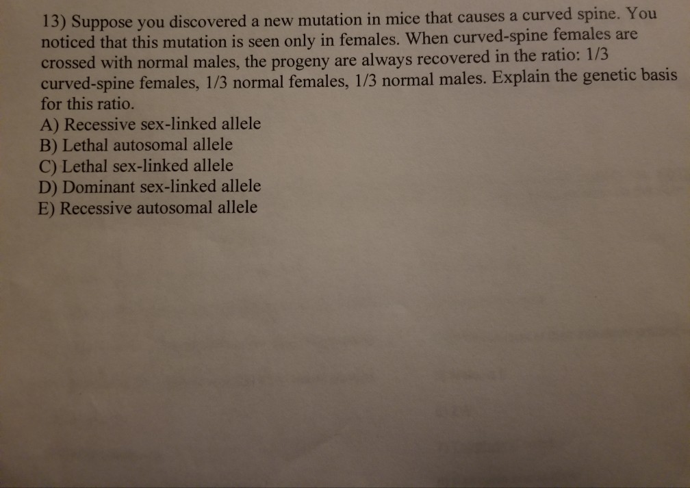 Solved 13) Suppose you discovered a new mutation in mice | Chegg.com