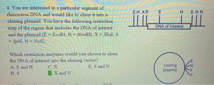 Solved 4. You are interested in a particular segment of E EH | Chegg.com