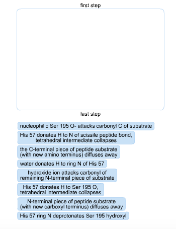 put these steps in the mechanism of chymotrypsin catalysis