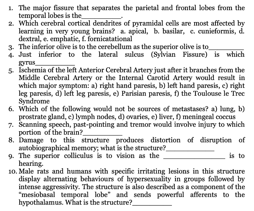 1. The major fissure that separates the parietal and frontal lobes from the temporal lobes is the
2. Which cerebral cortical 