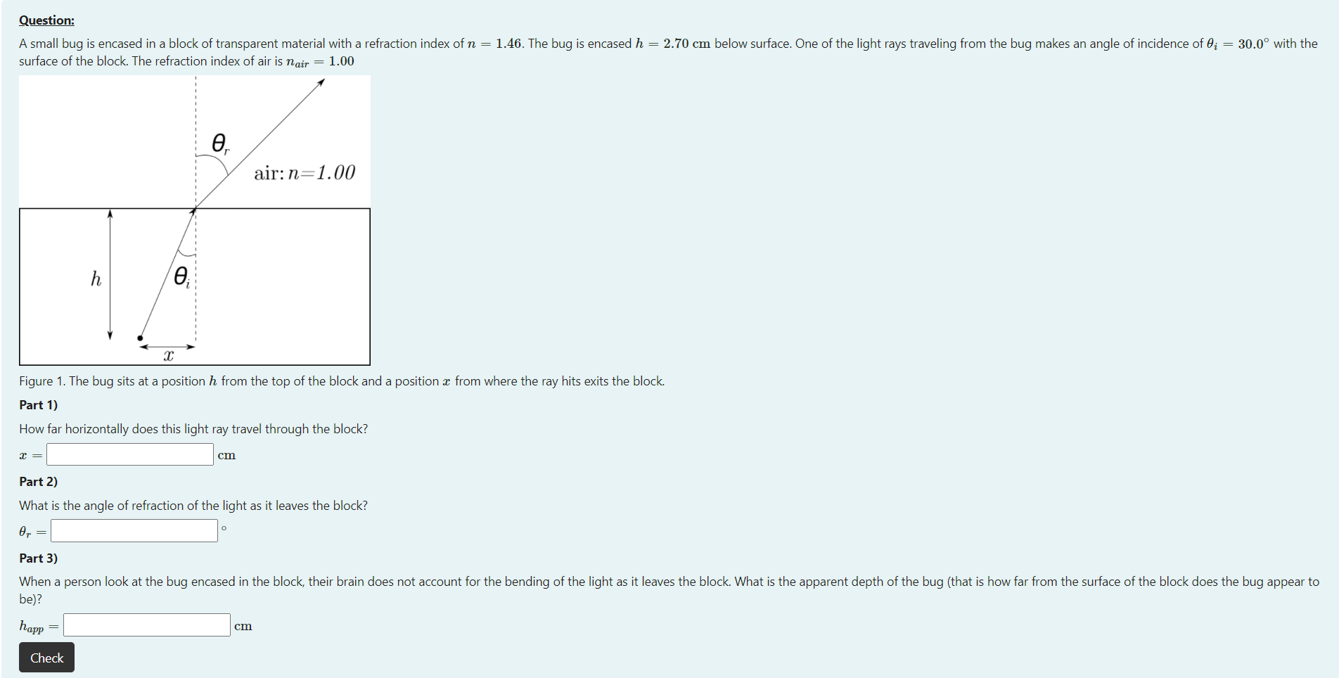 solved-question-a-small-bug-is-encased-in-a-block-of-chegg