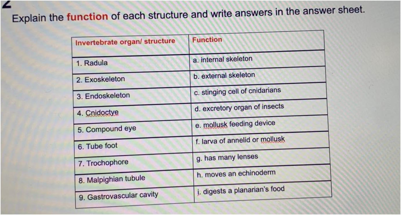 Solved Explain the function of each structure and write | Chegg.com