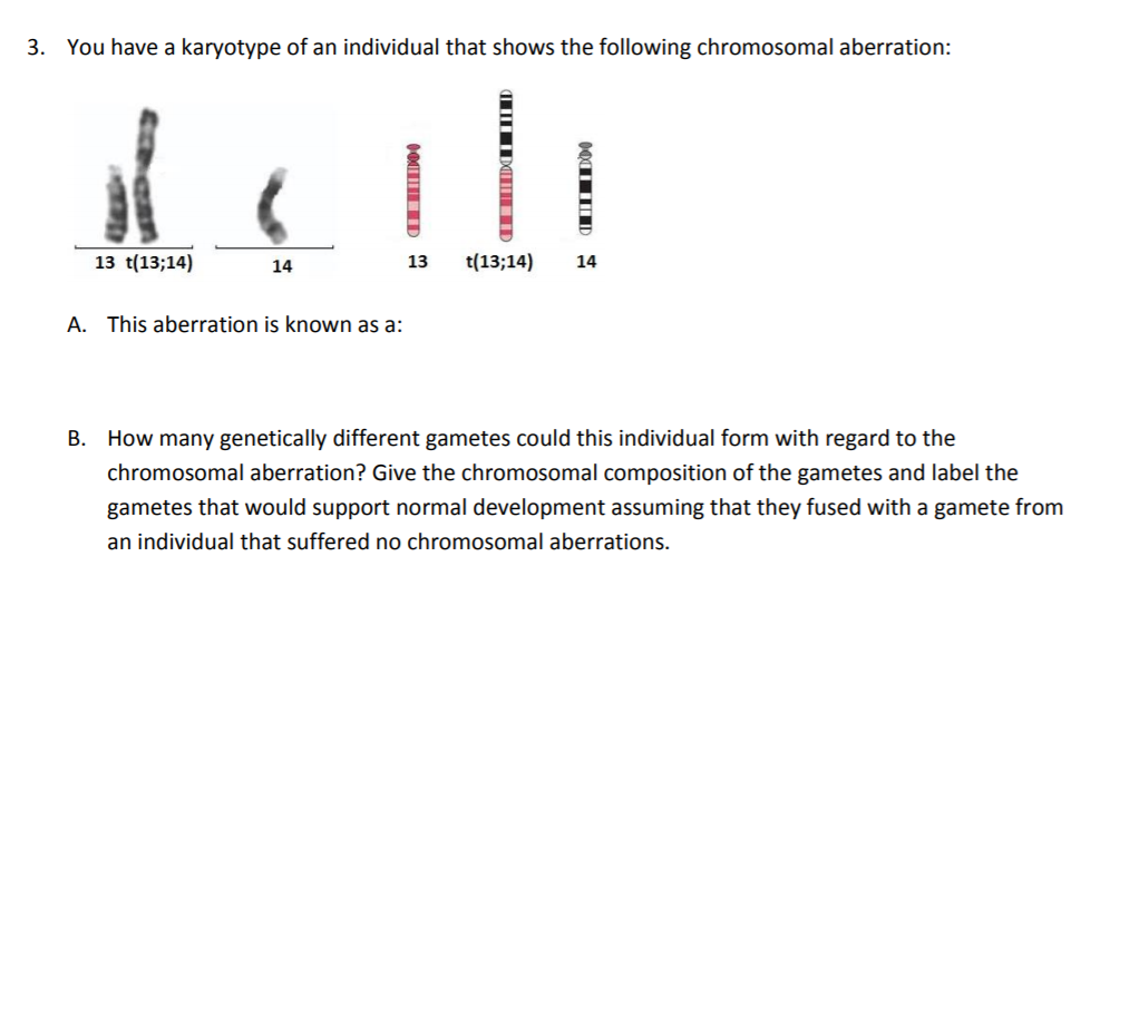 Solved I understand this is a Robertsonian Translocation for | Chegg.com