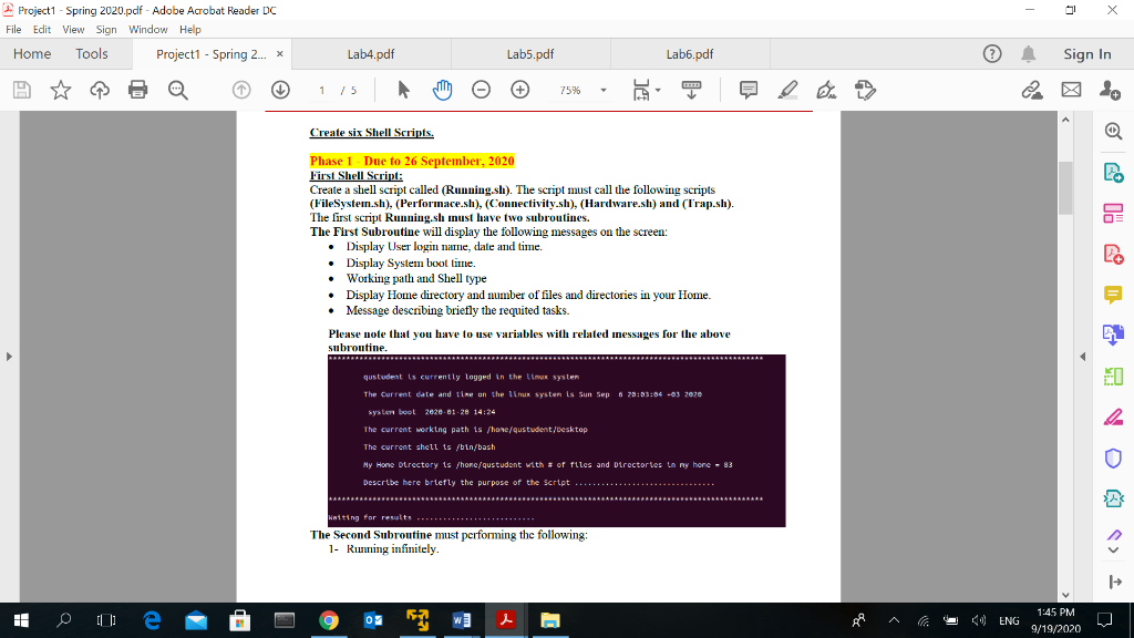 adobe script software