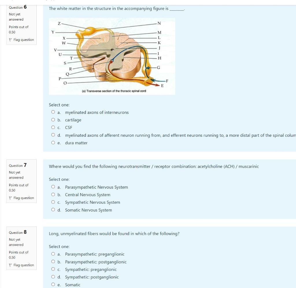 solved-question-1-which-of-these-is-not-a-characteristic-of-chegg