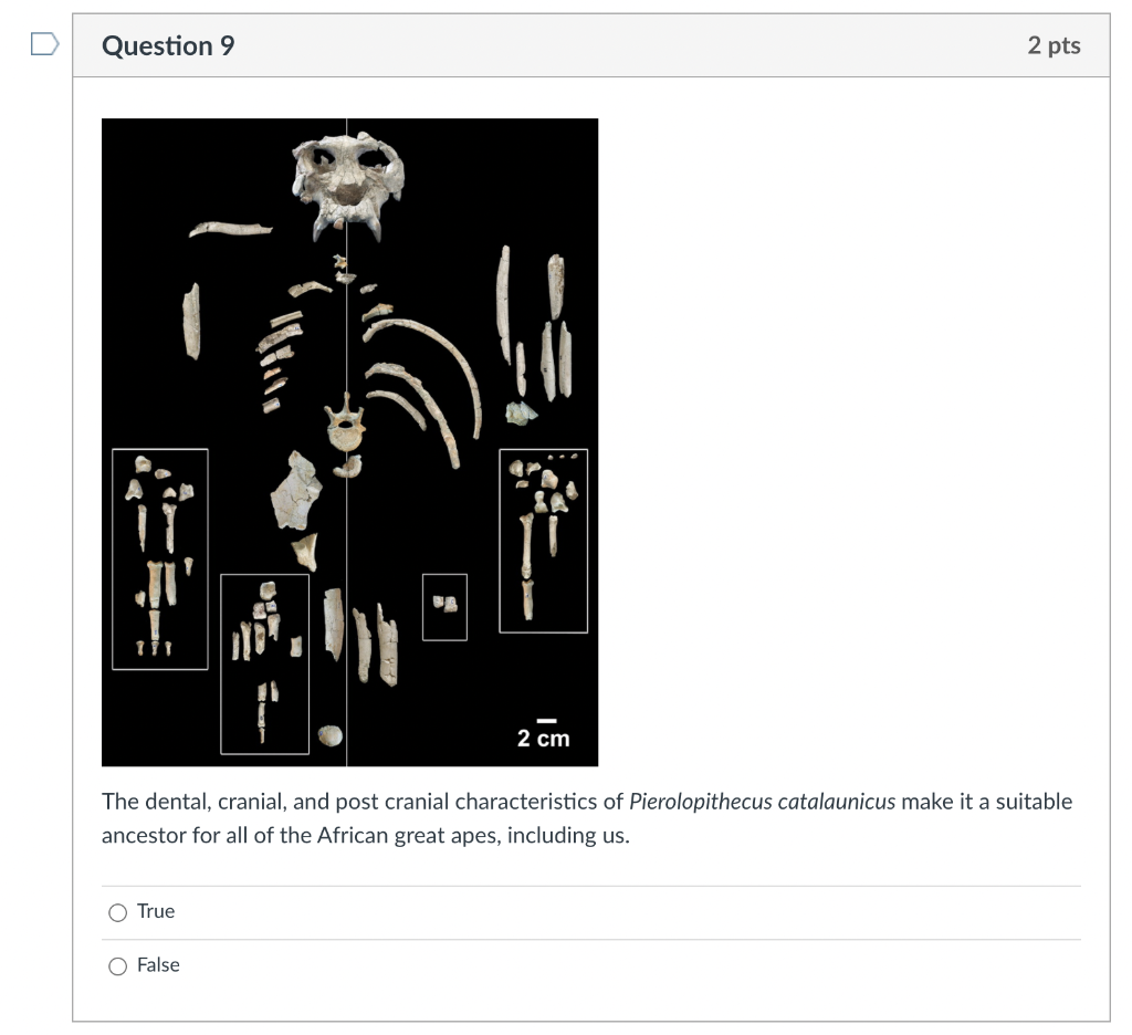 Solved Question 7 2 Pts Fossils Of The Known Skeletons Of | Chegg.com