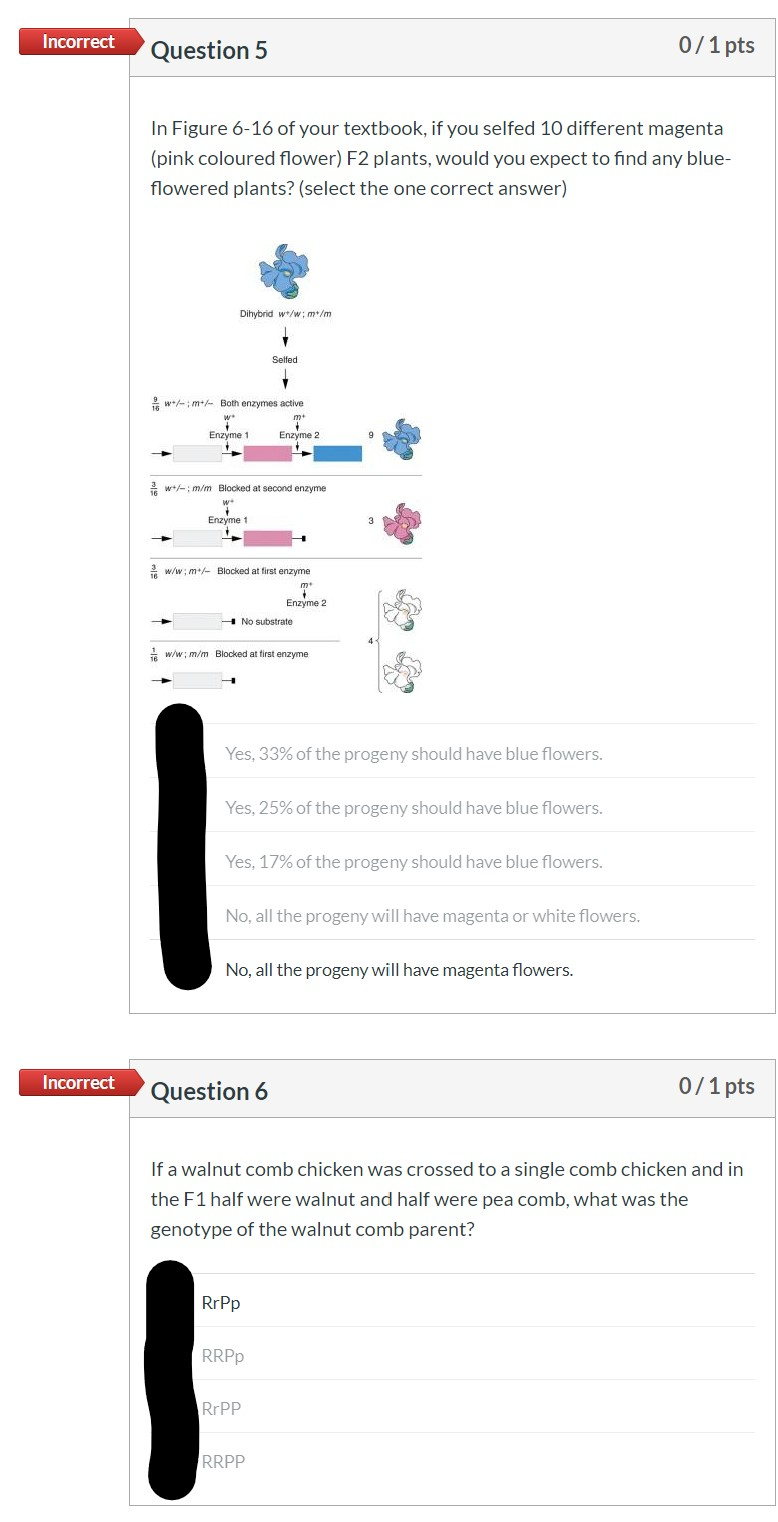 Solved Please show what the correct answers and | Chegg.com