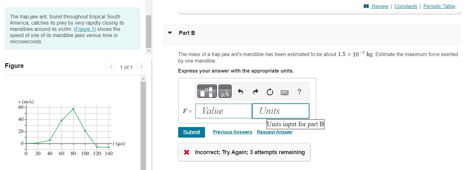 Solved The trap-jaw ant, found throughout tropical South | Chegg.com